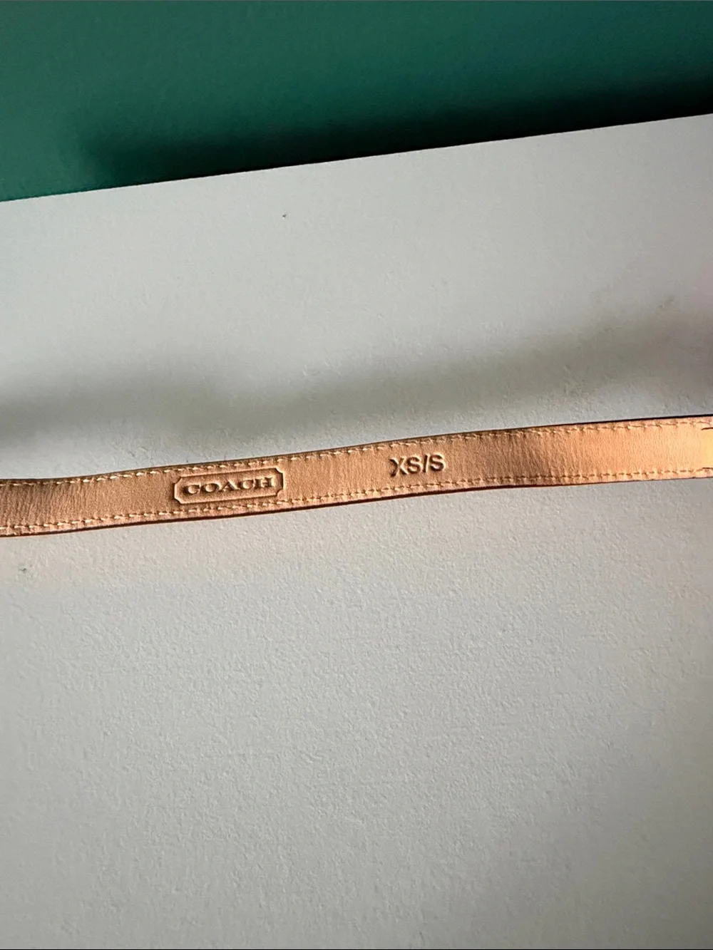 COACH Signature Canvas Belt Bag